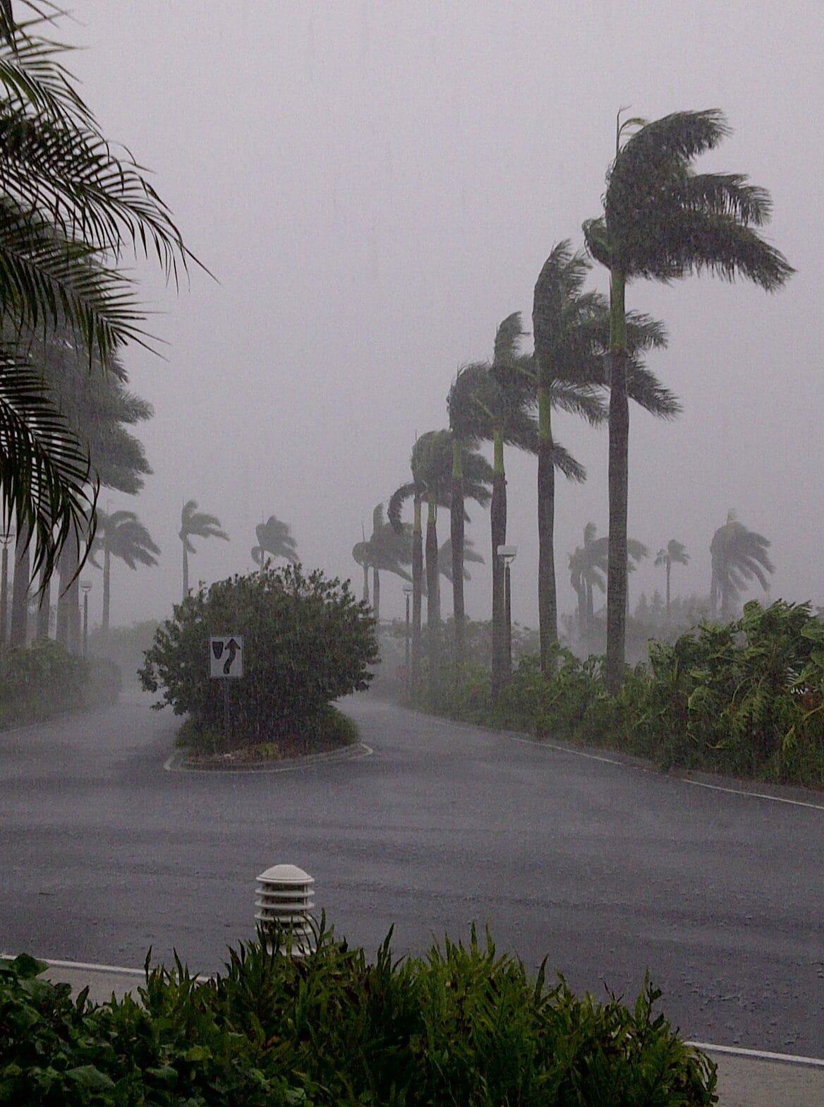 Hurricane Hits Florida T20 8bbxwz