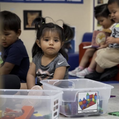Young Child In Classroom