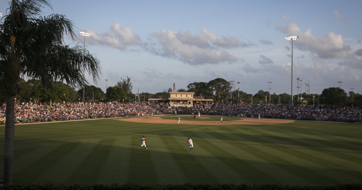 Baseball players on field